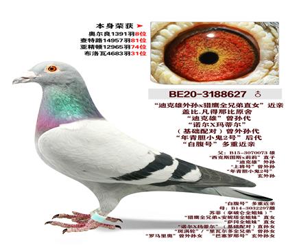 �Ǳ�.�����Ǳ�ԭ�� �����ٻ�12965��74λ