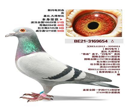 �Ǳ�.�����Ǳ�-�������Ѫ