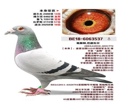 ��˹��.�����߶�ԭ�� �����ٻ�7291��ھ�