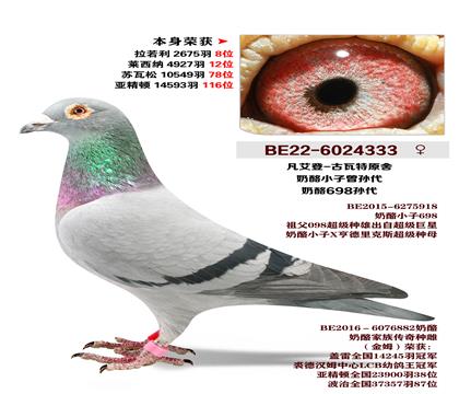 ������-����С�������-����698���