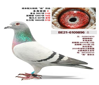 ����X���������Ѫ-����������847���Ǿ�