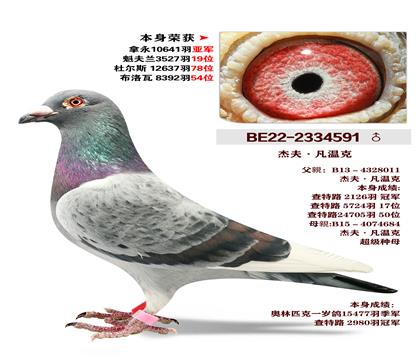 �ܷ򡤷��¿� �����ٻ�10641���Ǿ�