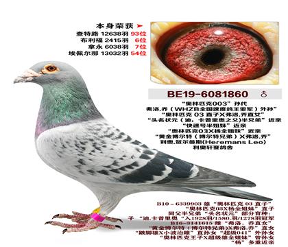 ����.�ն���˹-����ƥ��003���