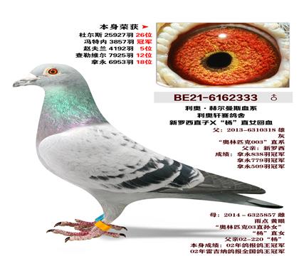 ����.�ն���˹-������X��ֱŮ��Ѫ