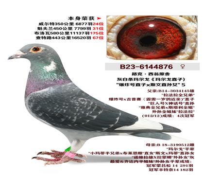 ·������ԭ��-��ը��ֱ��X˹��ֱ��Ů