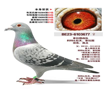 ����ͼս�� �����ٻ�10824��57λ