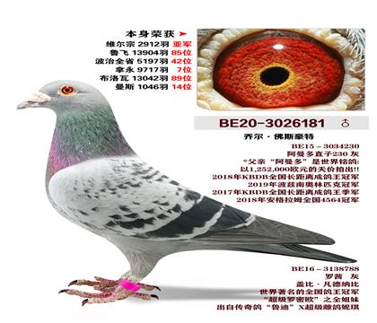 �Ƕ�.���º���ԭ��-����ά����2912���Ǿ�