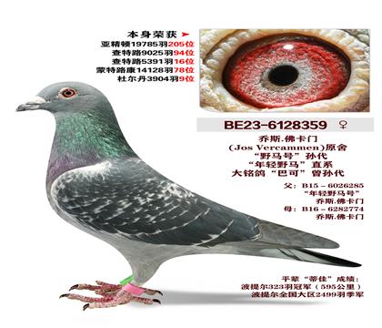 ��˹.����ԭ�ᡱҰ���š���� �����ٻ�3905��9λ