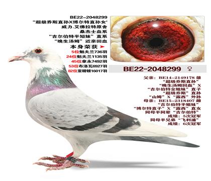 ����.������ԭ��.ɣ��ʿѪϵ