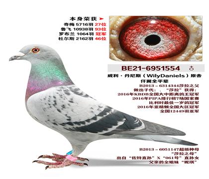 ����.����˹ԭ��-Ǫ��ȫƽ��-�޲���1061��ھ�