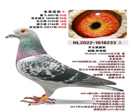 ����.�ϲ���-������ֱϵ