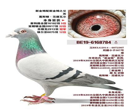 �½�ķ���½�ķ֮�� �����ٻ�2913��ھ�