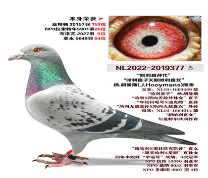 ��.����˹ԭ��-����ֱ��X�¹���ֱŮ