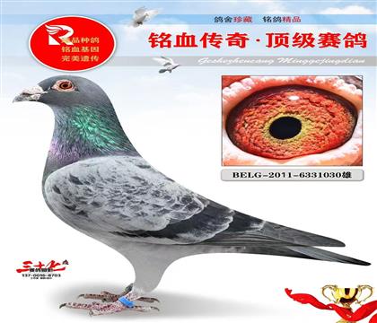 �ھ��š�����С��ֱ��