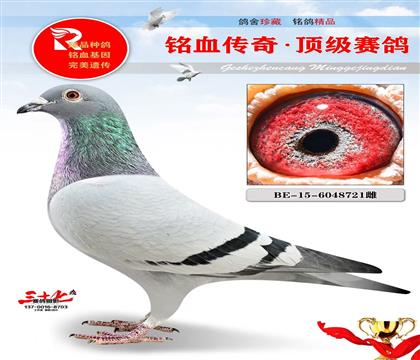 ����ԭ�ᡢ������θ�λ