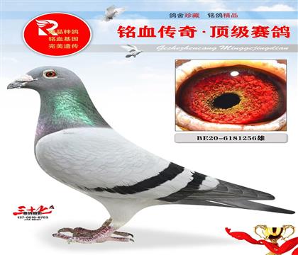 ��ķԭ�ᡢ����863����