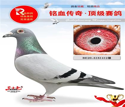 ��ķԭ�ᡢ�ص��Ƽ�