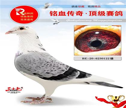 ���ֿ�˹����ʿֱ��