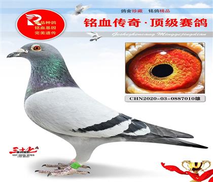 ��ɽ���⡢�ֱ��