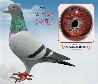 �Ƽ���.������˹�����޺�X�󱼡�