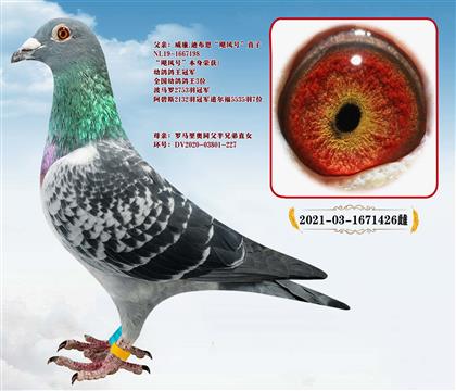 �����ϲ�����쫷��ֱ��X�������ͬ�����ֵ�ֱŮ