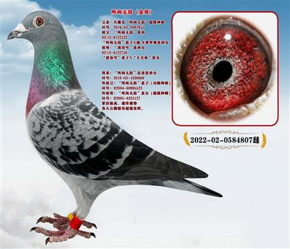 �Ƽ��������ˡ������޵С�����ĸ��