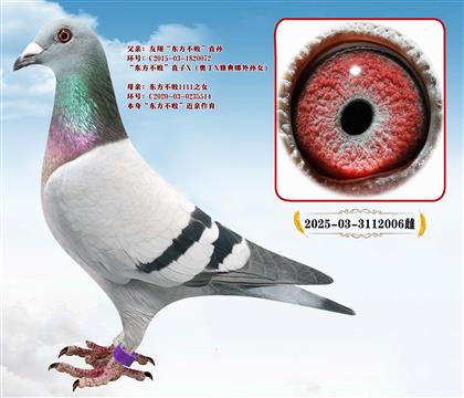 ���衰��������ֱ��X��������1111ֱŮ