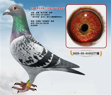 ���衰��������Xʯ�������罿��