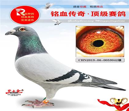 �����518��������ԭ������