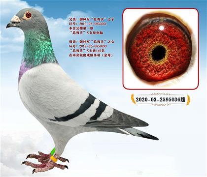 ���־����ܽ�ͷֱ��X�ܽ�ͷֱŮ