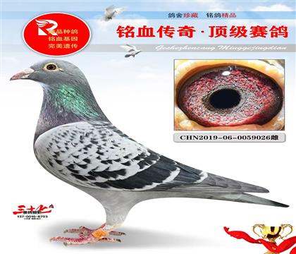 �����������۴ơ���������