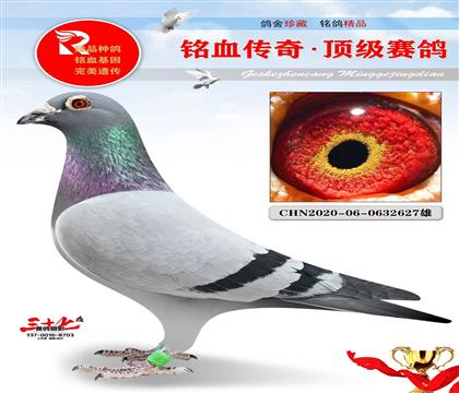 �ش����Ϻ칫��Ѫ������ǳ���