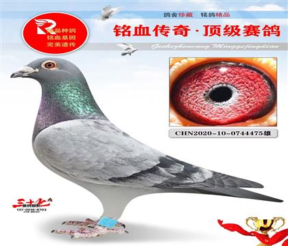 �Ĺظ���5��