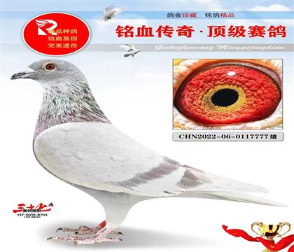 ��õ����ء�����ھ�ƽ��