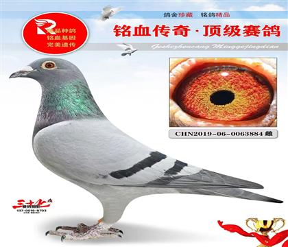 �ھ��š����Ҳ���