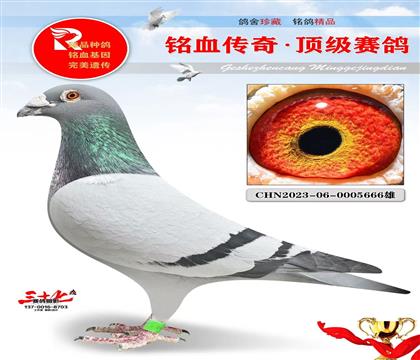 �������666��