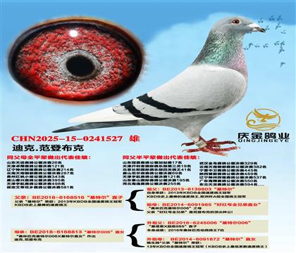 �Ͽ�.���ǲ��ˡ����ض���ֱ��x�����ض�006��ֱŮ