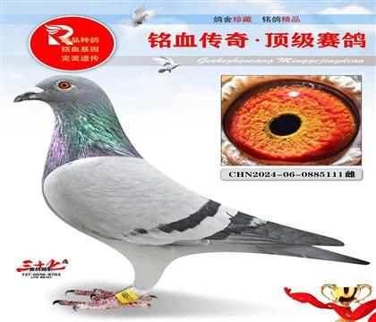 �ھ��š���������õ�����