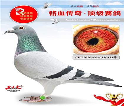 �ھ��š��������Ǿ�ĸ��