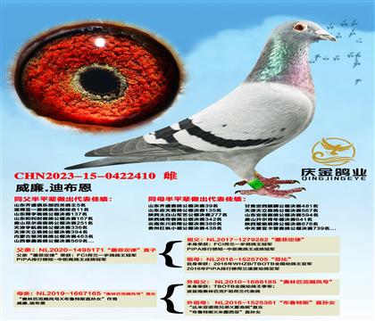 ����.�ϲ�����ī�ƶ��ɡ�ֱ��x������ƥ��쫷�š�ֱŮ