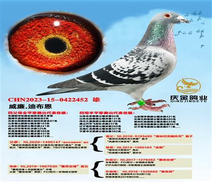 ����.�ϲ���������ƥ��쫷�š�ֱ��x��ī�ƶ��ɡ�ֱŮ