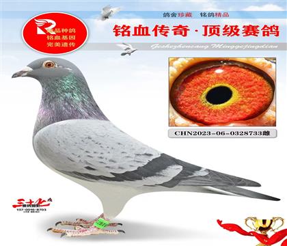 �ھ��š�������������