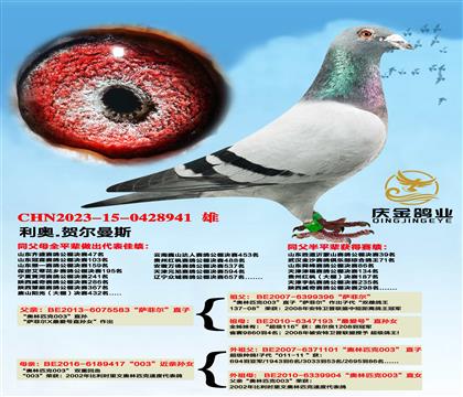 ����.�ն���˹�����ƶ���ֱ��x��003��������Ů