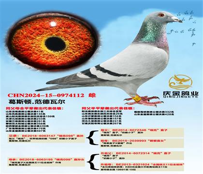 ��˹��.�����߶������098��ֱ��x�����098��ֱ��Ů