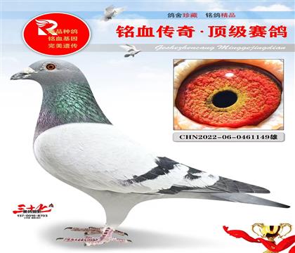 ����ֱ�ӡ�ֱŮ