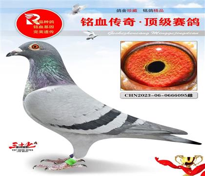 ����863ֱ�ֱ��Ů