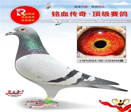 �ھ��š�����