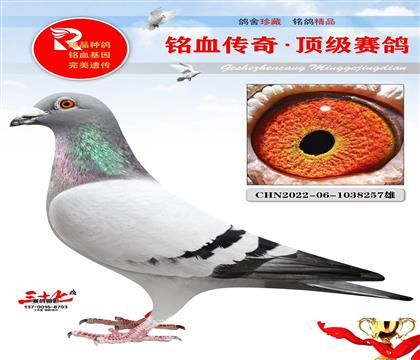 ����ĸ�ӻ�Ѫ�����˺ܿ��õ�һֻ