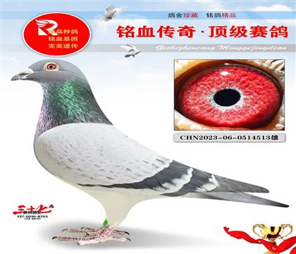 �ھ��š�����240ֱ��Ů