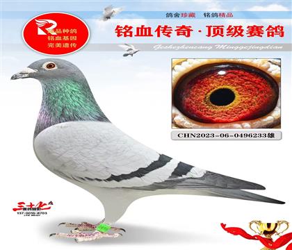 ����ֱ�ӡ���Ѫ����